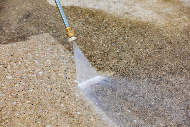 Best Roof Washing  in Jacksonville, FL